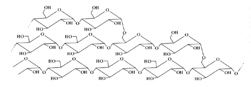 Amylopectine