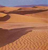De vraies Barkhanes