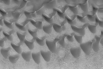 Barkhanes sur... Mars