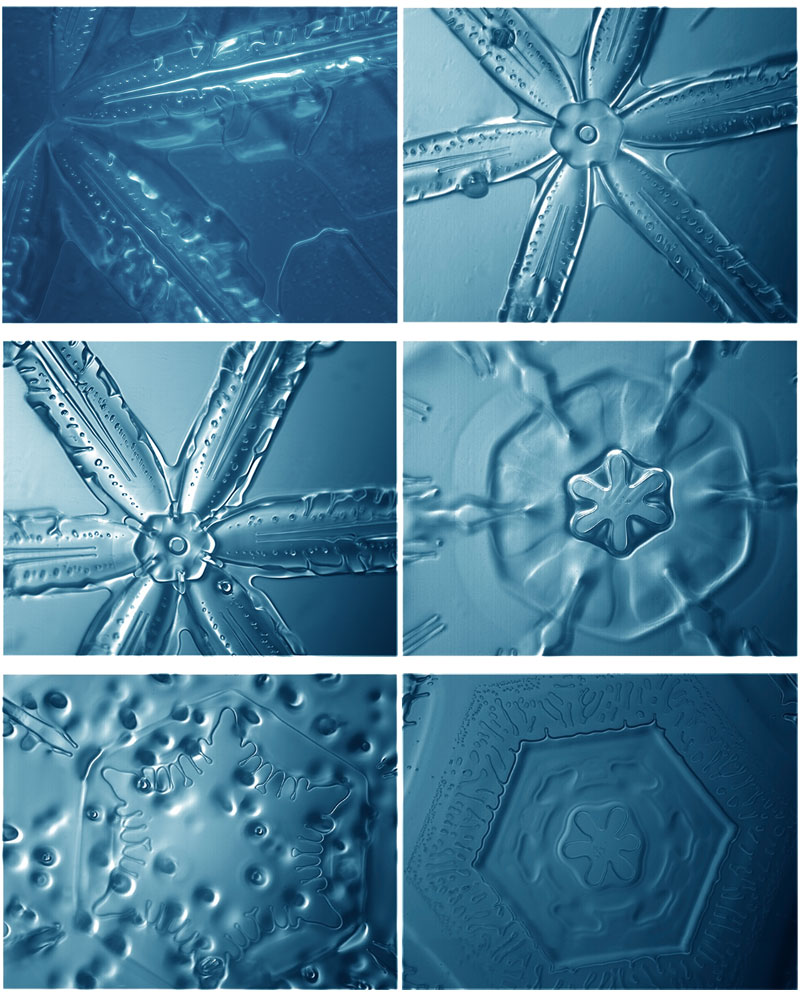 flocons micropscopie �Rob in Space