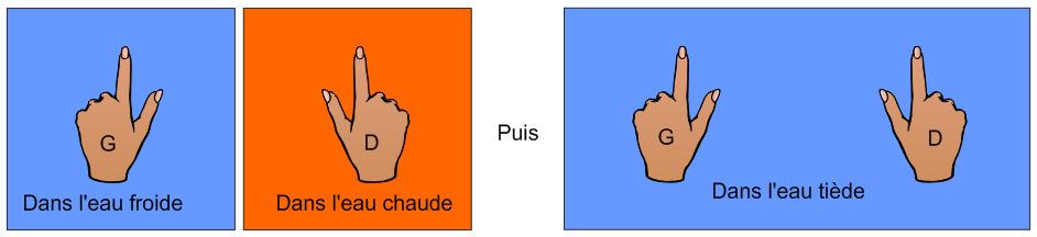 peau et temp�rature