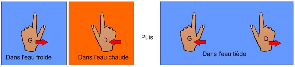 peau et temp�rature