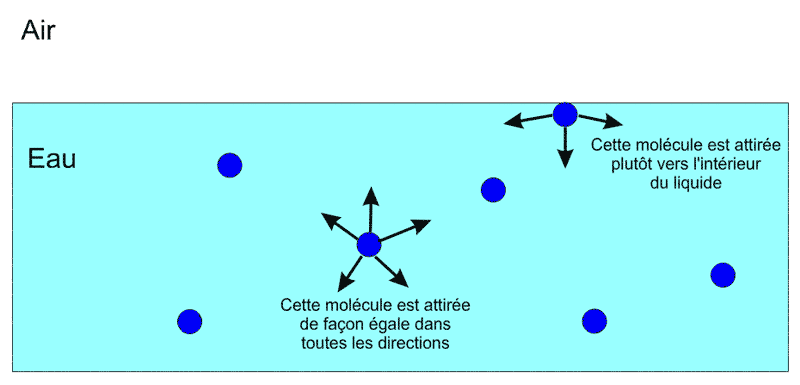 Tension de surface �Rob In Space