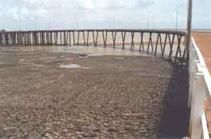 mar�e basse en Australie