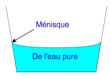 M�nisque