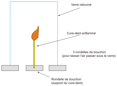 Montage &agrave; plasma micro-ondes