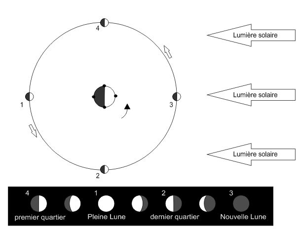 Phases de la Lune