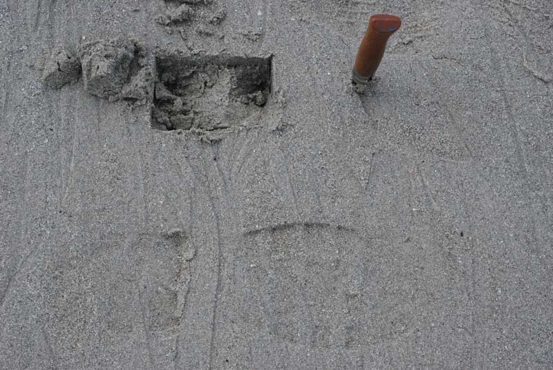 Plage: faible enfoncement � Rob in Space