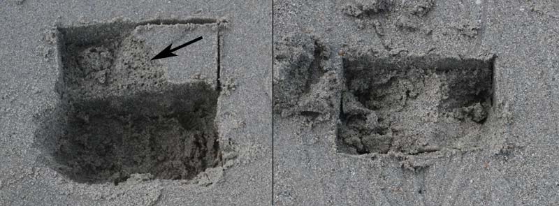 Comparaison de structure de sable